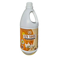 Liv Soul