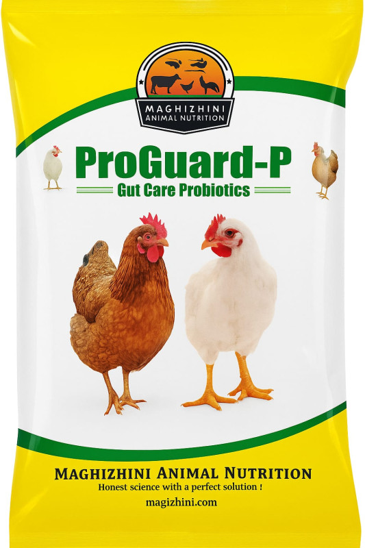 ProGuard  P
