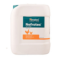 Nefrotec Vet Liquid (5L)– Advanced Ayurvedic Urinary/Kidney Tonic