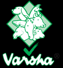 Varsha